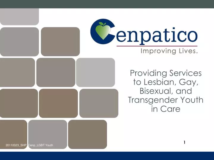 providing services to lesbian gay bisexual and transgender youth in care