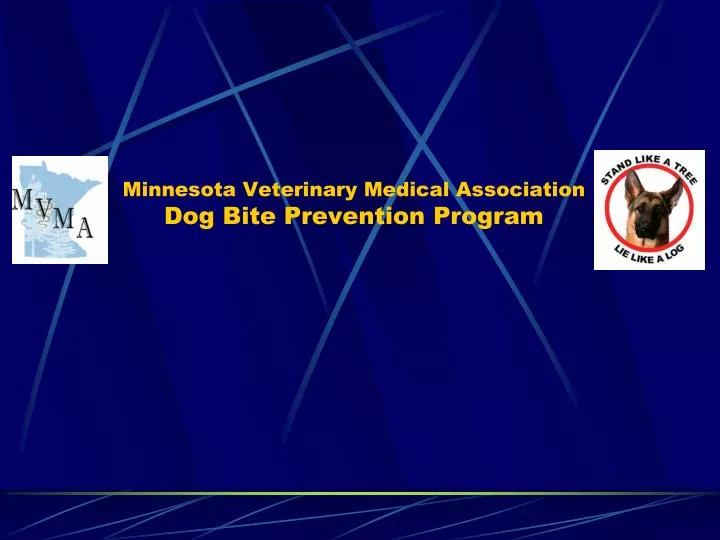 minnesota veterinary medical association dog bite prevention program