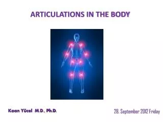 ARTICULATIONS IN THE BODY