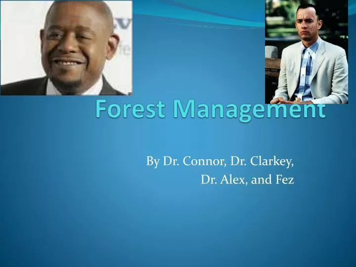 forest management