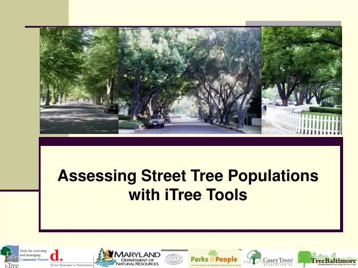 assessing street tree populations with itree tools