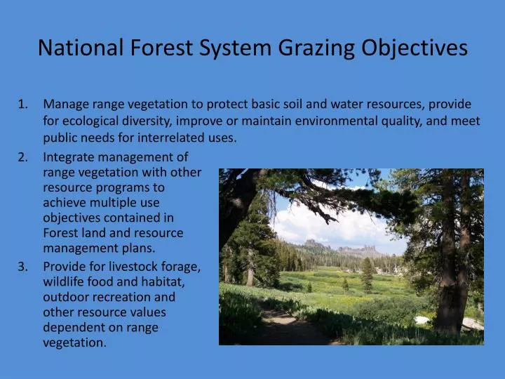 national forest system grazing objectives