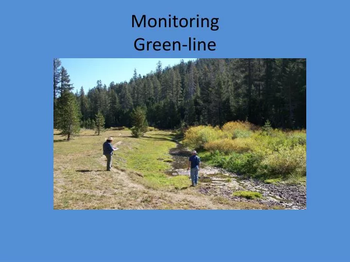 monitoring green line