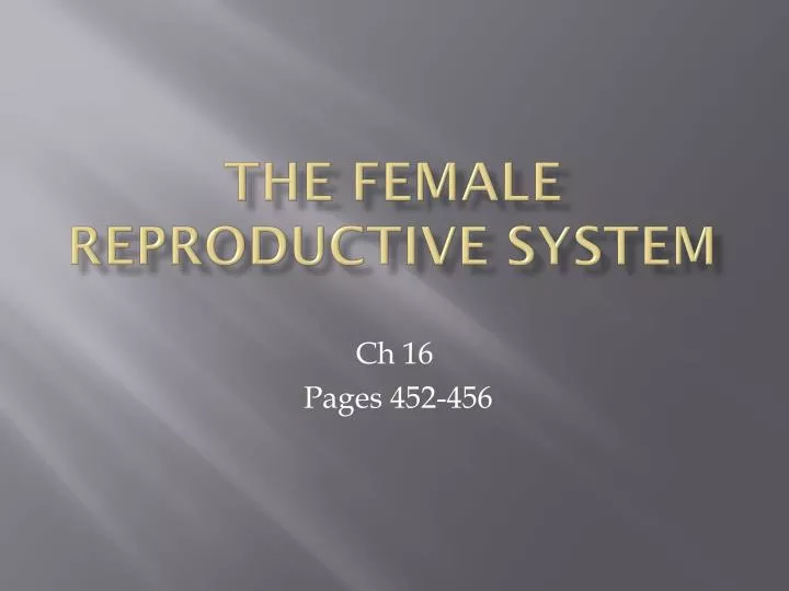 the female reproductive system