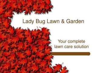 Lady Bug Lawn &amp; Garden