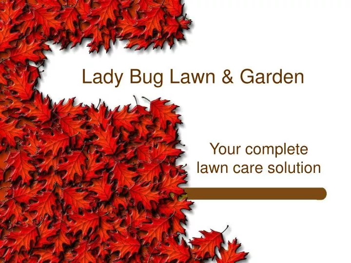 lady bug lawn garden