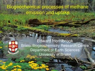 Biogeochemical processes of methane emission and uptake