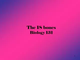 The 18 bones Biology 131