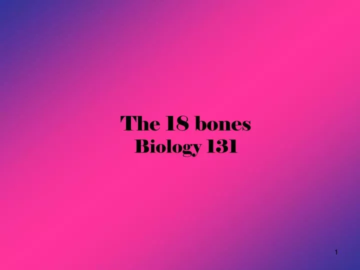 the 18 bones biology 131