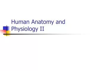 Human Anatomy and Physiology II