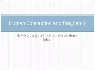 Human Conception and Pregnancy