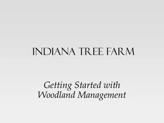 Indiana Tree Farm