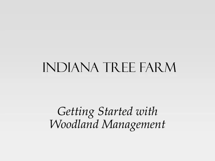 indiana tree farm