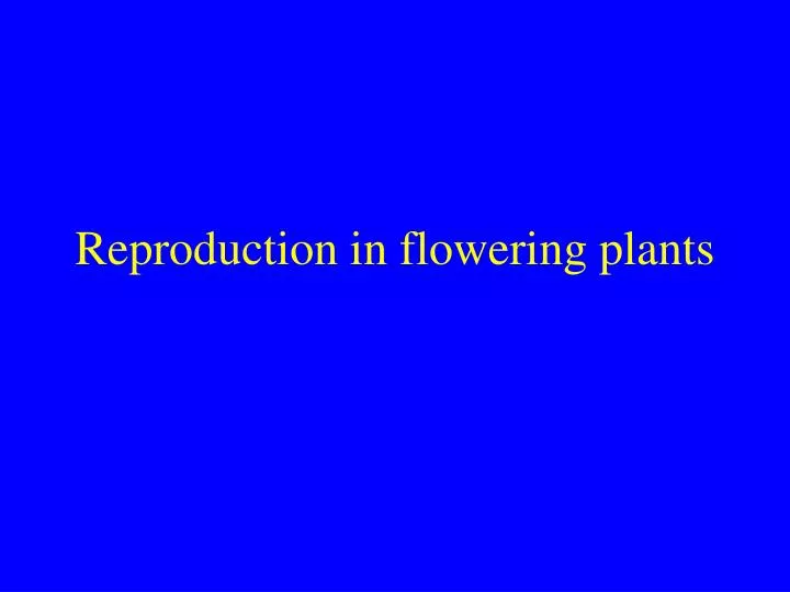 reproduction in flowering plants