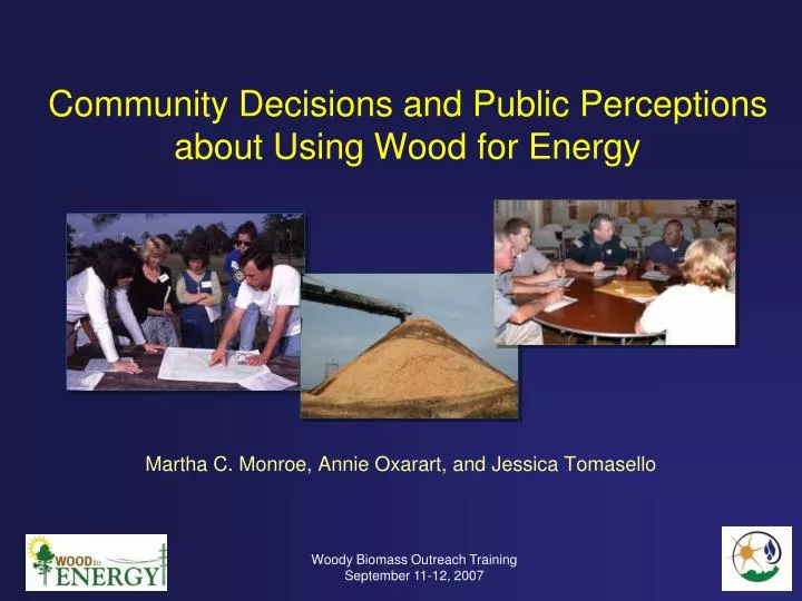 community decisions and public perceptions about using wood for energy