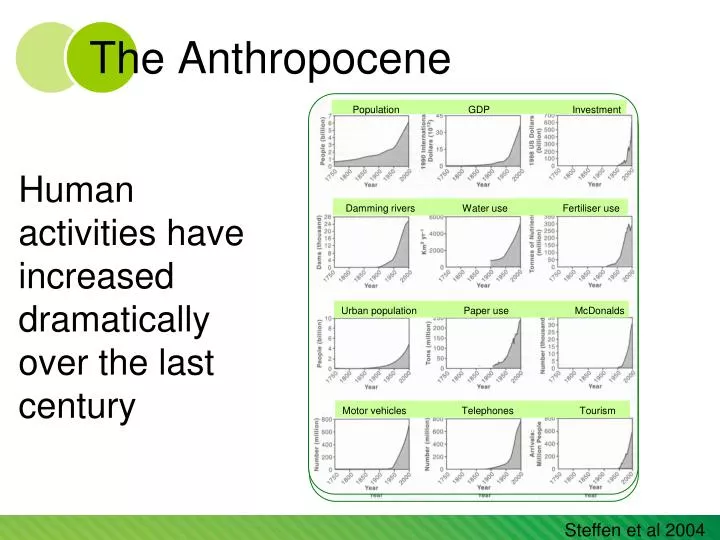 the anthropocene