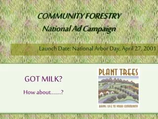 COMMUNITY FORESTRY National Ad Campaign