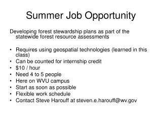 Summer Job Opportunity