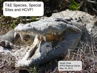 T&amp;E Species, Special Sites and HCVF!