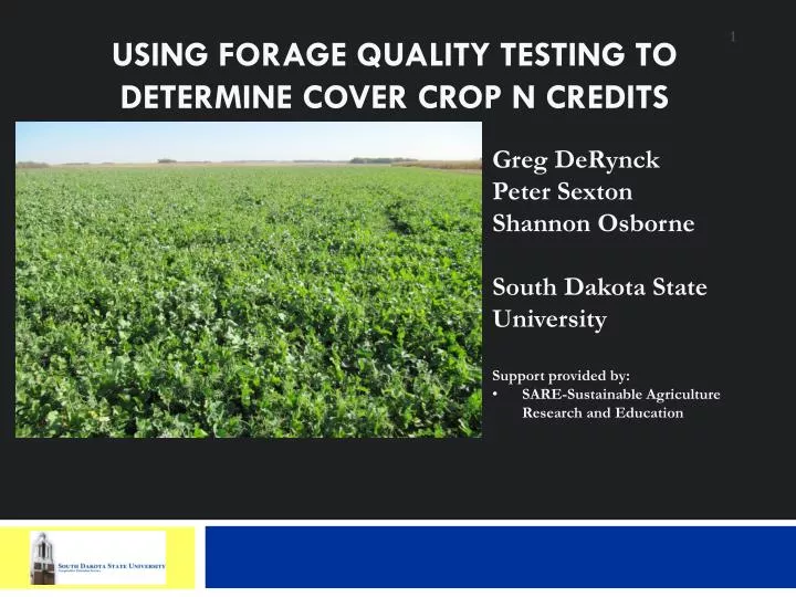 using forage quality testing to determine cover crop n credits