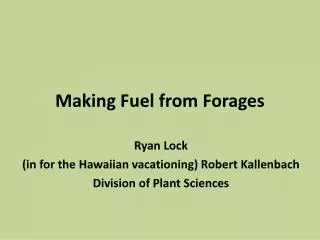 Making Fuel from Forages