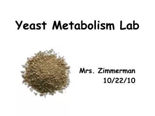 Yeast Metabolism Lab