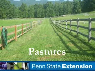 Pastures