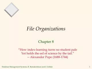 File Organizations