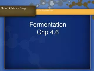 Fermentation Chp 4.6