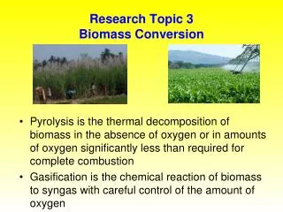 Research Topic 3 Biomass Conversion