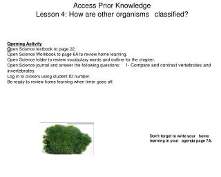 Access Prior Knowledge Lesson 4: How are other organisms ?classified?