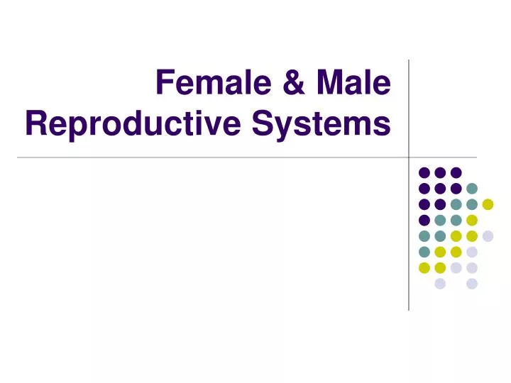 female male reproductive systems