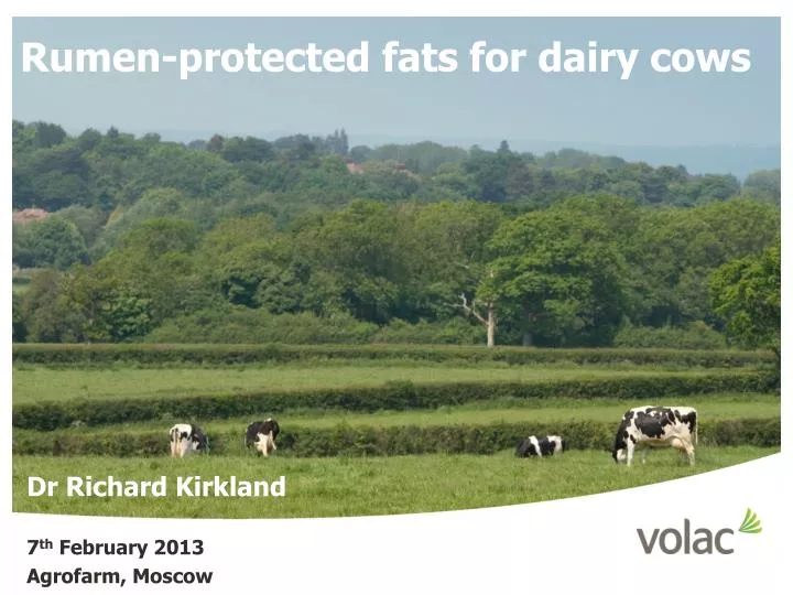 rumen protected fats for dairy cows