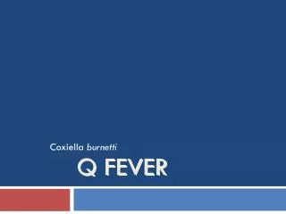 Q Fever