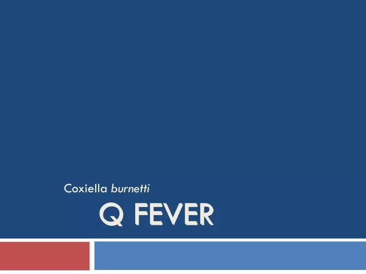 q fever