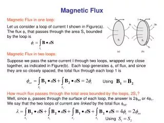 Magnetic Flux