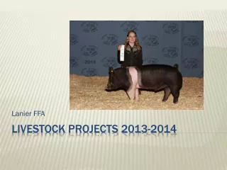 Livestock Projects 2013-2014