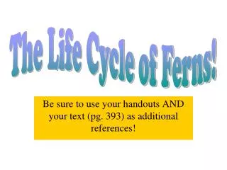 Be sure to use your handouts AND your text (pg. 393) as additional references!