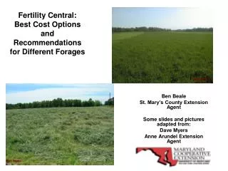 Fertility Central: Best Cost Options and Recommendations for Different Forages