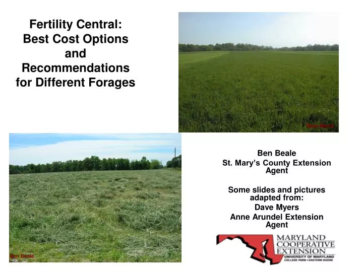 fertility central best cost options and recommendations for different forages