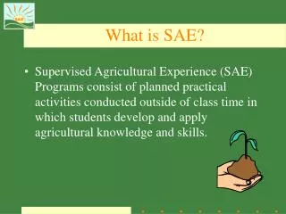 What is SAE?