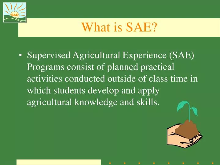 what is sae