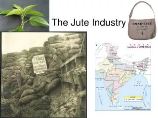 The Jute Industry
