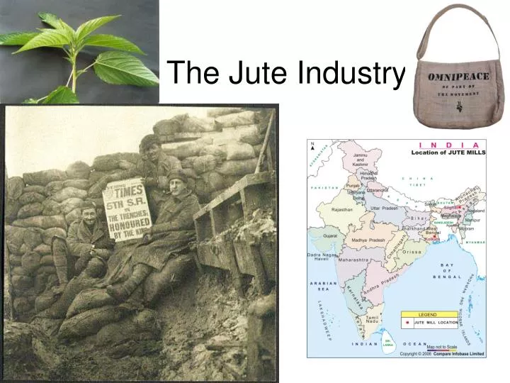 the jute industry