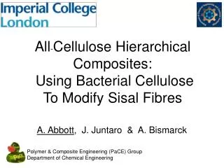 All - Cellulose Hierarchical Composites: Using Bacterial Cellulose To Modify Sisal Fibres