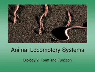 Animal Locomotory Systems