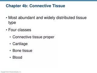 Chapter 4b: Connective Tissue