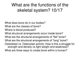 What are the functions of the skeletal system? 10/17