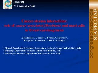 Cancer-stroma interactions: role of cancer-associated fibroblasts and mast cells in breast carcinogenesis