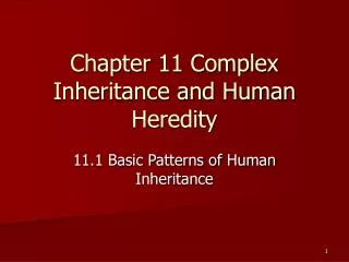 chapter 11 complex inheritance and human heredity